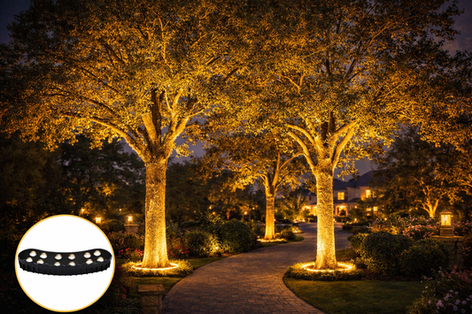 Outdoor Tree Hugging LED Lamps